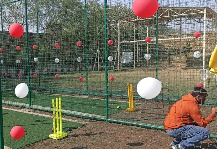 Cricket Turf