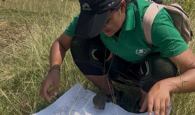 Orienteering