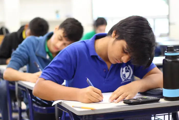 Curriculum